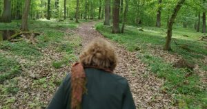 Training und Coaching