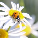 Lebensfreude und Urvertrauen